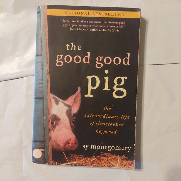 the good good pig - Picture 1 of 5